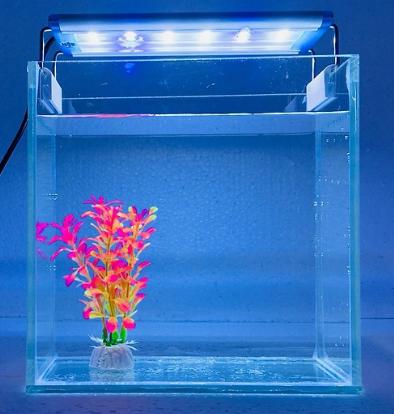 Bể cá nhỏ để bàn có đèn led